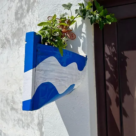 La Buganvilla * Arrecife (Lanzarote)