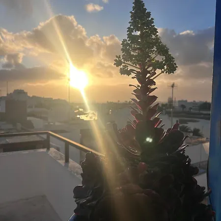 La Buganvilla Arrecife (Lanzarote)
