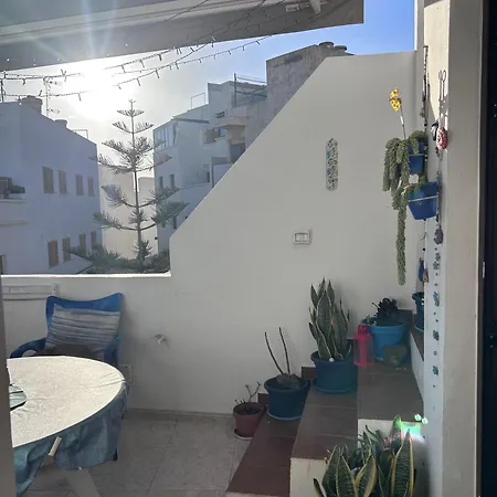 La Buganvilla *