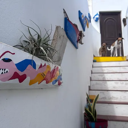 El Charco Arrecife (Lanzarote)