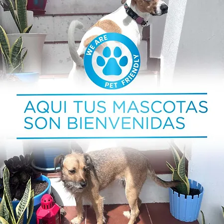 El Charco בית הארחה